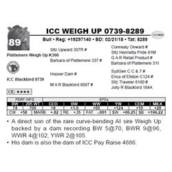 ICC WEIGH UP 0739-8289