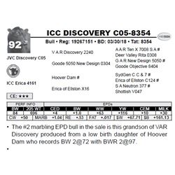 ICC DISCOVERY C05-8354