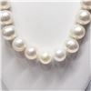 Image 2 : STERLING SILVER FRESHWATER PEARL NECKLACE