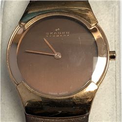 42) SKAGEN DENMARK BROWN WATCH WORKING