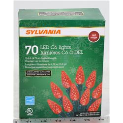STRING OF 70 INDOOR/OUTDOOR LED C6 LIGHTS