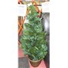 Image 1 : 4FT PRE LIT, POTTED FIR WITH 150 LIGHTS, NEW