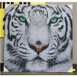 WHITE TIGER WITH PIERCING GREEN EYES CANVAS