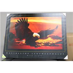 BALD EAGLE IN FIREY SKY CANVAS