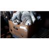 Image 1 : BOX OF FURS