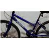 Image 2 : BLUE NEXT BIKE