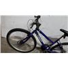 Image 3 : BLUE NEXT BIKE