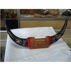 BULL HORNS
