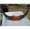 Image 1 : BULL HORNS