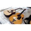 Image 1 : CANORA AND FIRST ACT GUITARS