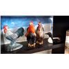 Image 1 : SHELF LOT OF CHICKENS AND CAST IRON CHICKEN DOORSTOP