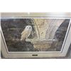 Image 2 : ANCIENT GLOW BARN OWL BY ALAN HUNT 24777