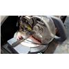 Image 2 : POWER XT MITRE SAW