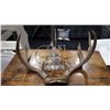 Image 2 : DESIGNER LAMP AND ANTLER RACK