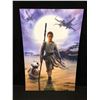 Image 1 : STAR WARS THE FORCE AWAKENS 24 X 32 ART