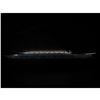 Image 3 : SS United States Limited Model Cruise Ship 40" w/ LED Lights