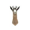 Image 2 : Spring Bok Shoulder Trophy Mount. Height 28"