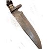 Image 1 : 12" Damascus Handmade Black Horn,handle Hunting Knife