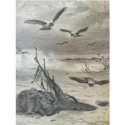19thc Engraving, Rabbit Hunted by Hawks