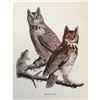 Image 1 : c1950 Audubon Print, Great Horned Owl