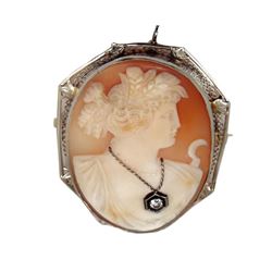 Antique 14kt White Gold Victorian Cameo Brooch