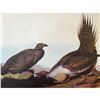 Image 2 : c1946 Audubon Print, #371 Sage Grouse