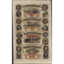 Uncut Sheet of 1857 Western Exchange Fire & Marine Insurance Co. Obsolete Notes