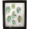 Image 2 : 8 Nevada Turquoise Cabochons, 119.4 Carats