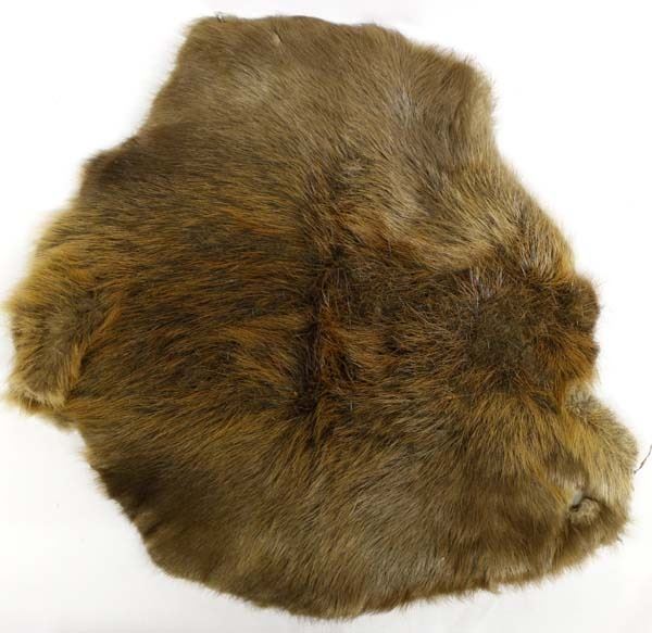 Beaver Pelt Beaver Pelt