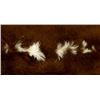 Image 2 : Small Herefored Steer Hide