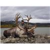 Image 2 : 2020 NWT Mountain Caribou Hunt Raffle