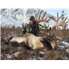 Image 3 : 2020 NWT Mountain Caribou Hunt Raffle