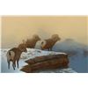 Image 2 : Kelley Coburn painting-”Rams on High Point”