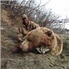 Image 2 : 2020 10 day Spring Brown Bear Hunt With Bonus Black Bear In Alaska With Extreme Adventures