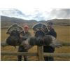 Image 2 : 3 Day Spring Turkey Hunt for 2 in 2020 in Sheridan, WY