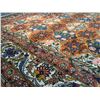Image 7 : SUPERB AUTHENTIC PERSIAN BAKHTIARI RUG 9.7x13.3