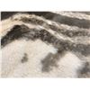 Image 3 : SAFARI RAWHIDE RUG 6x8