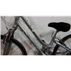 Image 2 : GREY GIANT SEDONA DX BIKE