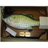 Image 2 : SINGING BIG MOUTH BILLY BASS