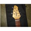 Image 3 : PEAVY RAPTOR PLUS SUNBURST ELECTRIC GUITAR WITH GIG BAG
