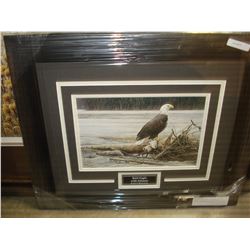 BALD EAGLE WITH SALMON BY ROBERT BATEMAN 24856