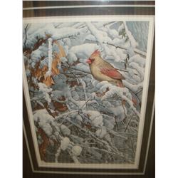 CARDINAL IN THE BRAMBLES LEP BY RON PARKER 24475