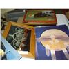 Image 4 : LOT OF NATIVE PICTURES AND ETCHINGS
