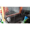 Image 2 : LARGE BLACK BIRD CAGE AND AQUARIUM