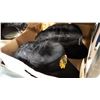 Image 2 : BOX OF NHL HATS