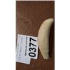 Image 1 : SPERM WHALE TOOTH