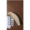 Image 2 : SPERM WHALE TOOTH