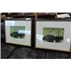 Image 1 : PAIR OF NATURE PRINTS