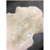 Image 2 : SHEEP SKIN