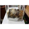 Image 1 : NATIVE FUR AND FEATHERS INVENTORY